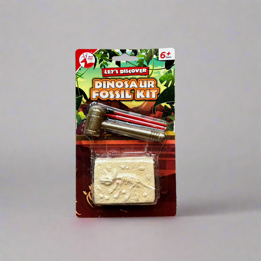 Dinosaur fossil kit